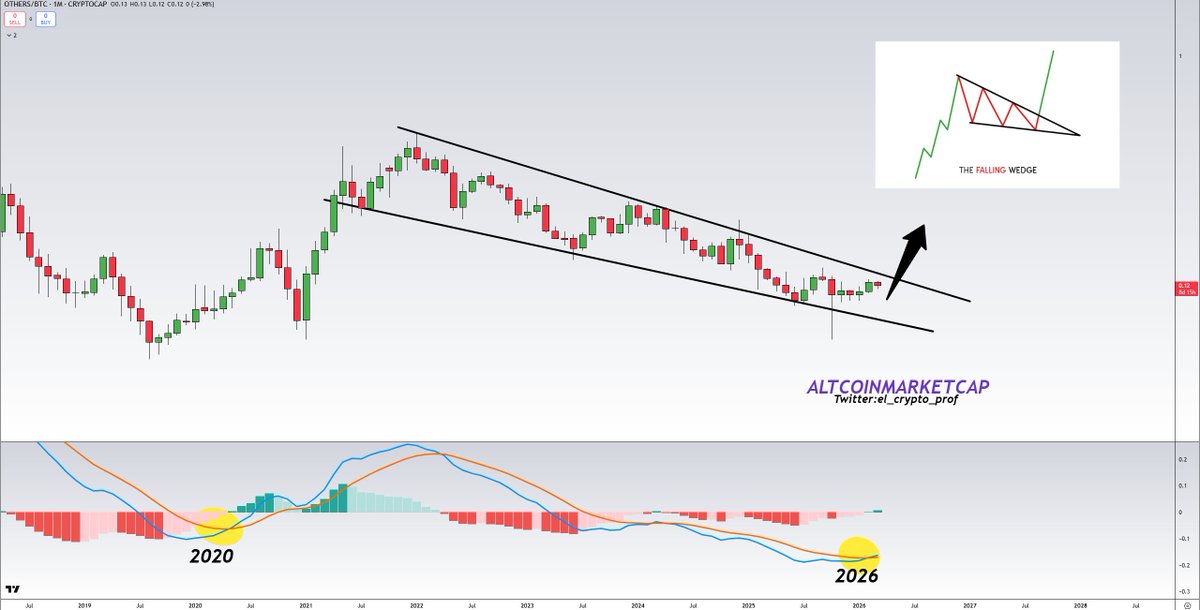 𝕄𝕠𝕦𝕤𝕥𝕒𝕔ⓗ𝕖 🧲 tweet media