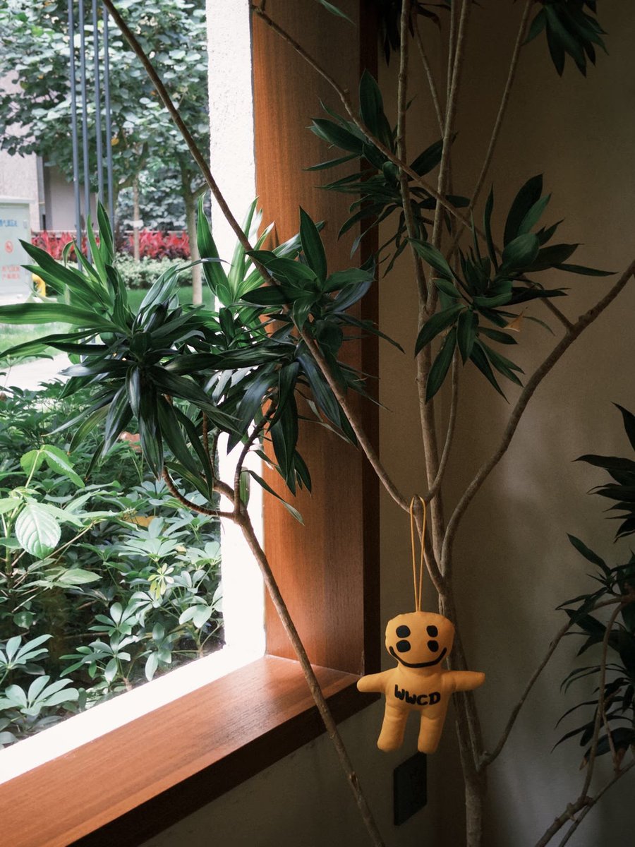 May Aisha tweet media