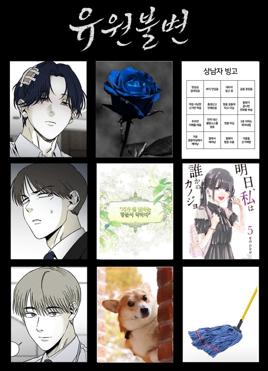 광개콩왕 tweet media