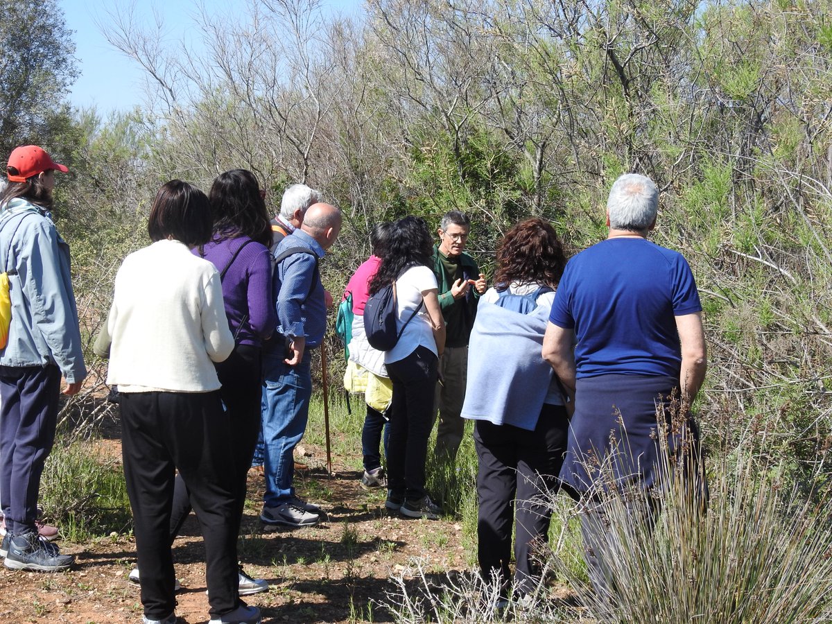 elclotdegalvany's tweet photo. 🌿 Así vivimos nuestra ruta por el Día Internacional de los Bosques: naturaleza, aprendizaje y conexión con el entorno.¡Una jornada para disfrutar y recordar! 🌳 https://t.co/GbL58QlU9N