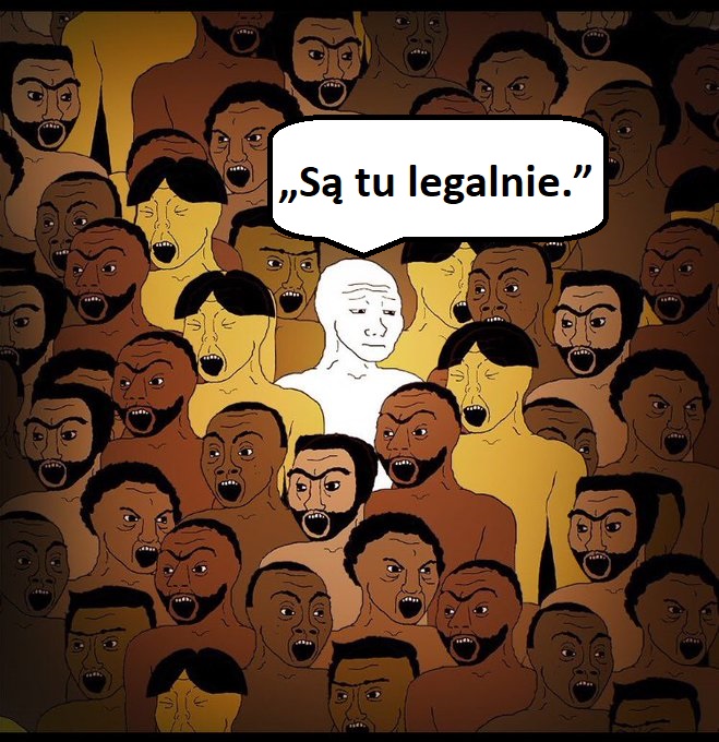 Kochany Prezes tweet media