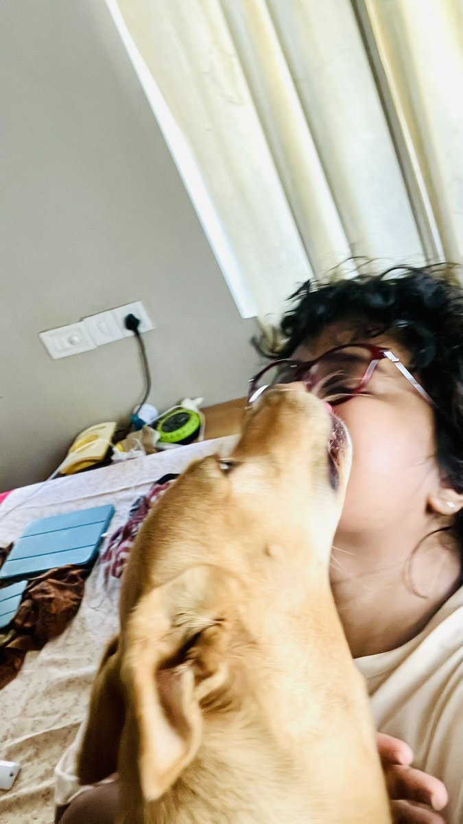 Xanthipe tweet media