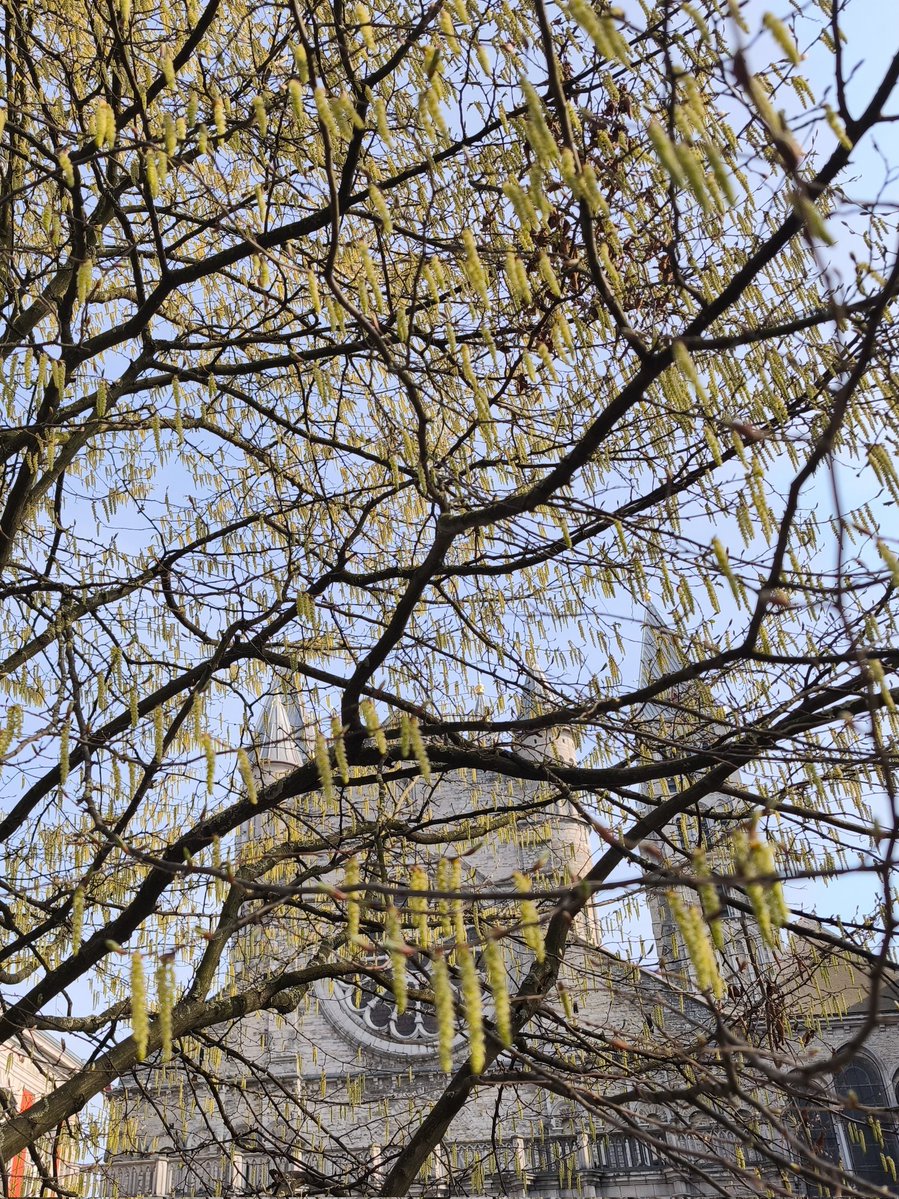 TwiitHIT tweet media