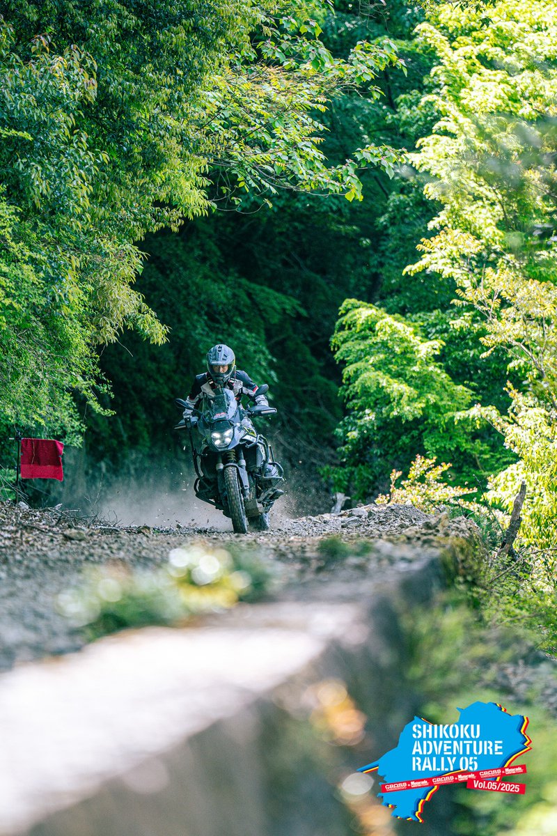 BONSAIMOTO（ボンサイモト） tweet media