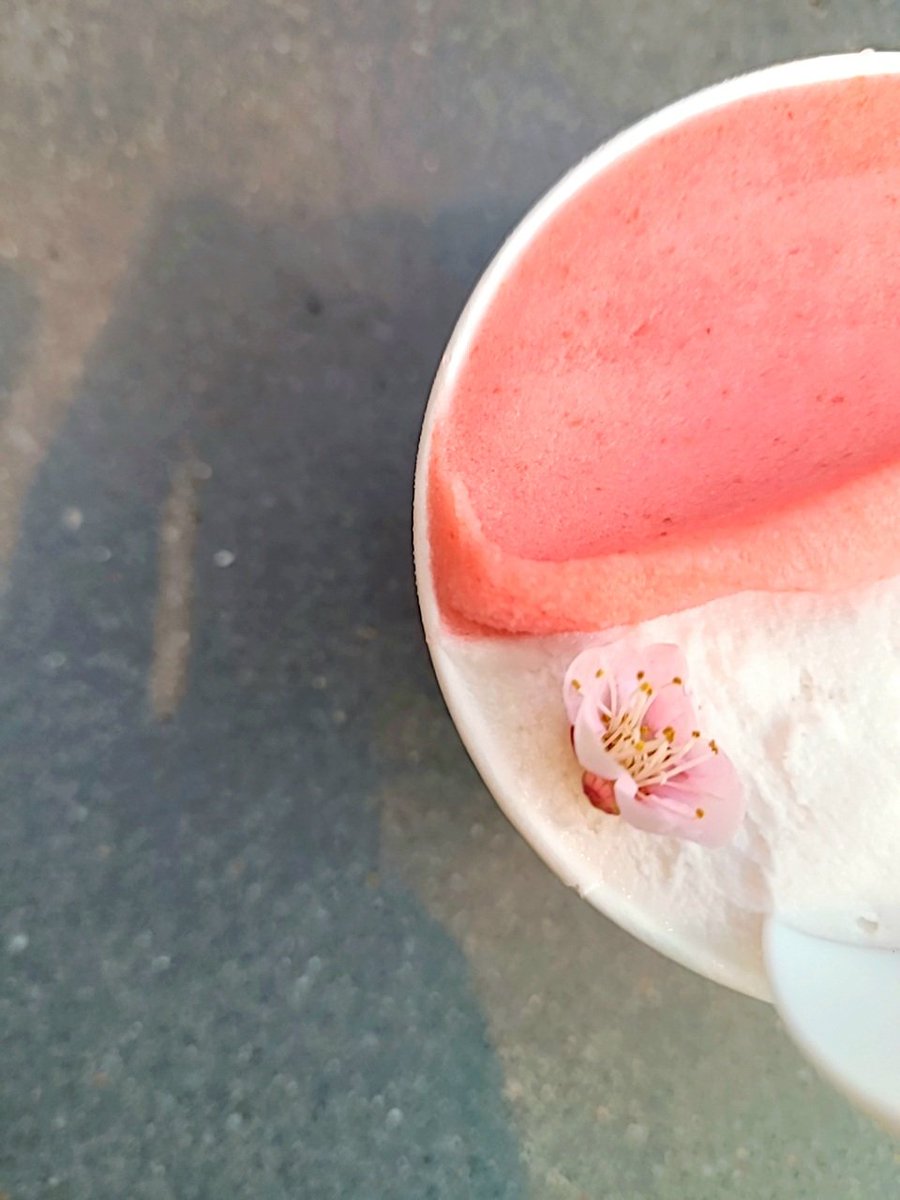 단짠단짠☆매지컬 tweet media