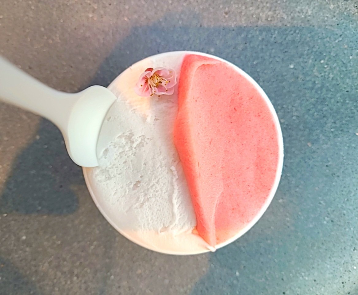 단짠단짠☆매지컬 tweet media