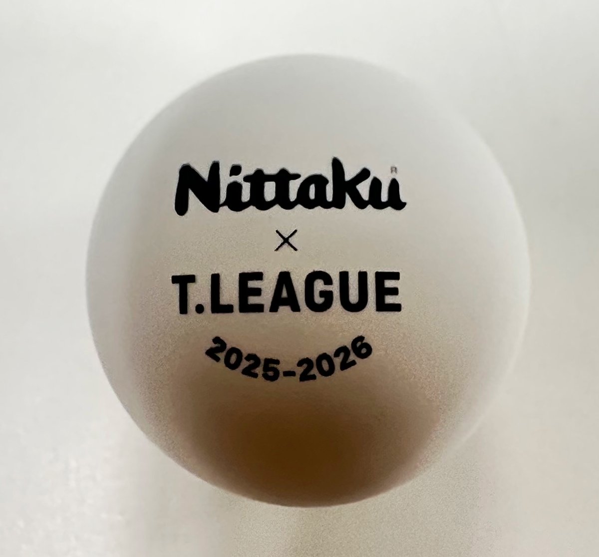 卓球のＴリーグ tweet media