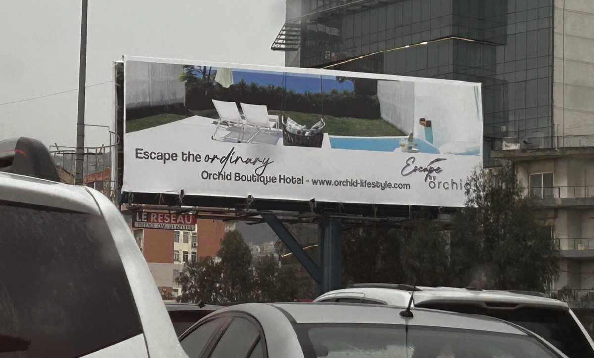 Marina Chamma | مارينا شمّا tweet media