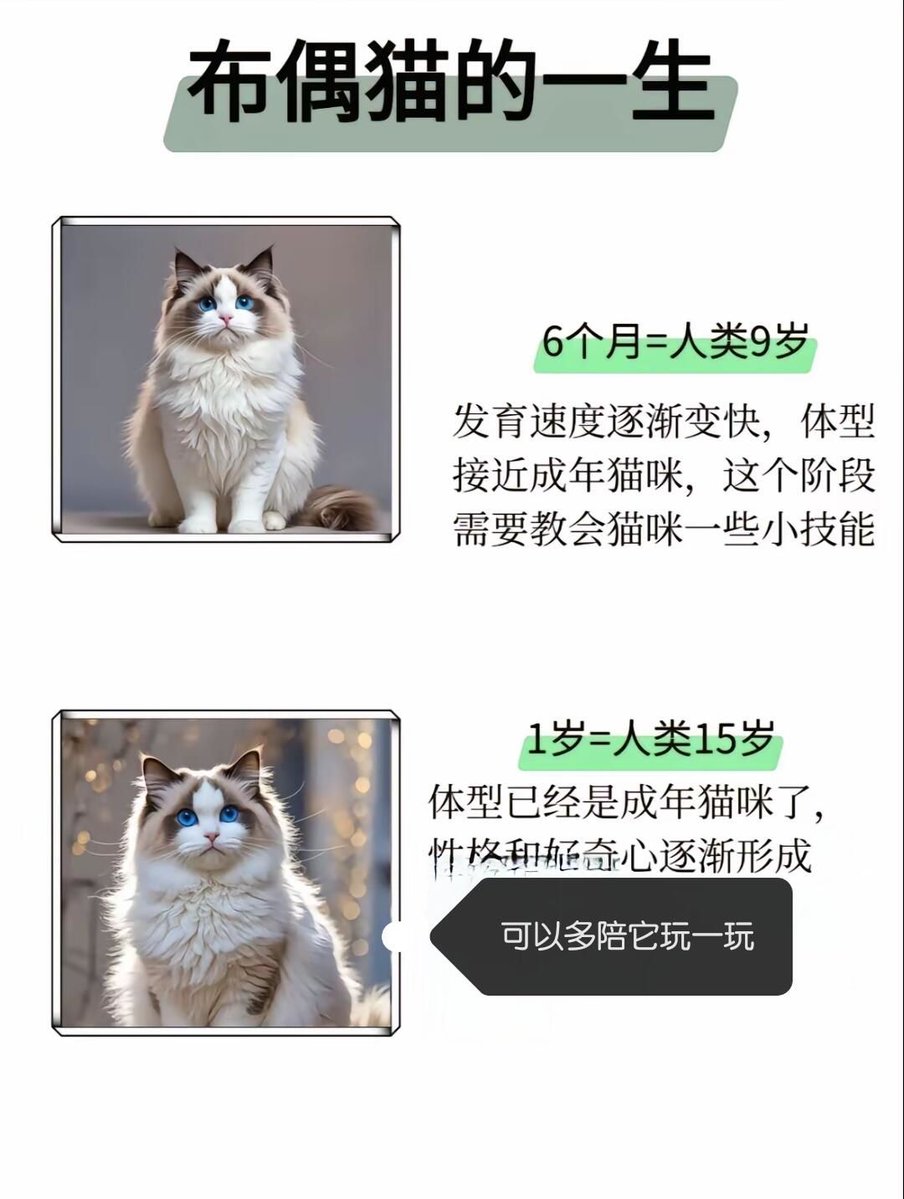 Deepak sharma tweet media