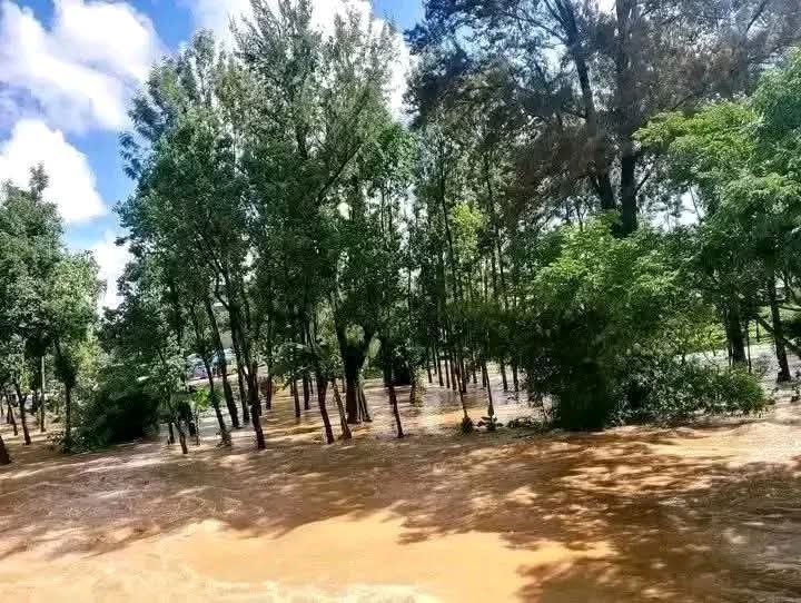 Ⓝⓖ'ⓞⓡⓞⓡⓘⓔⓣ🐐🇰🇪 tweet media