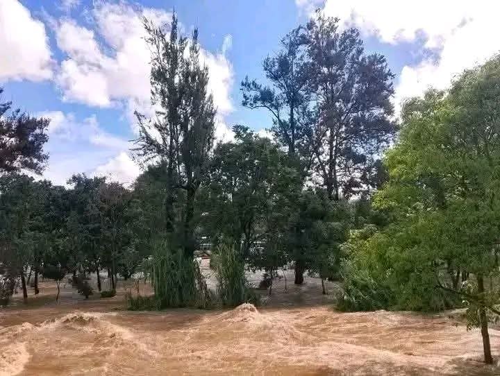 Ⓝⓖ'ⓞⓡⓞⓡⓘⓔⓣ🐐🇰🇪 tweet media