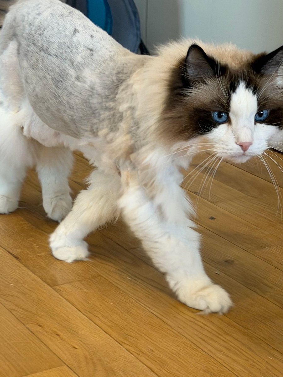 ʟɪ⁺¹⁹⁹⁵ : tweet media