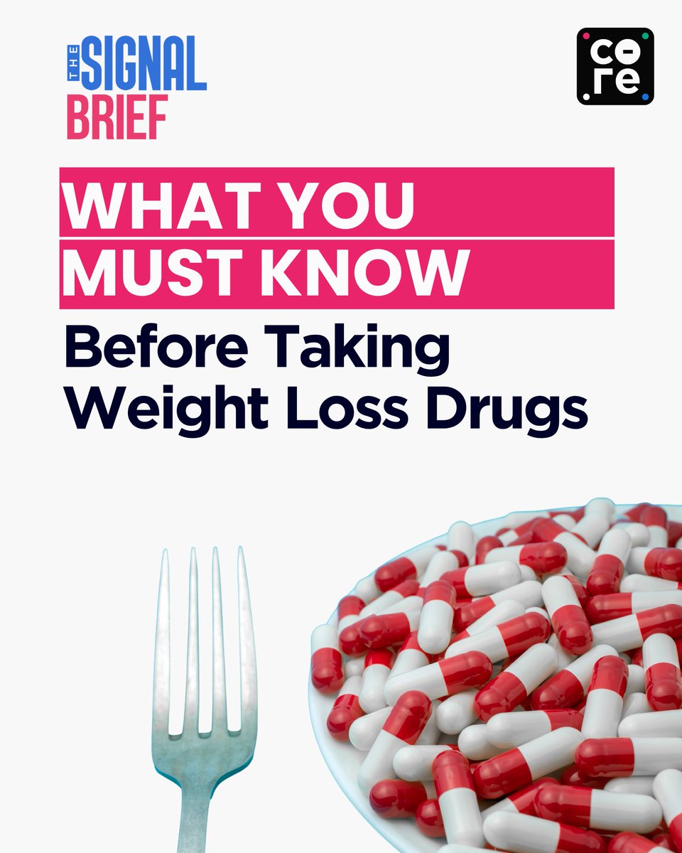 The Signal Brief tweet media