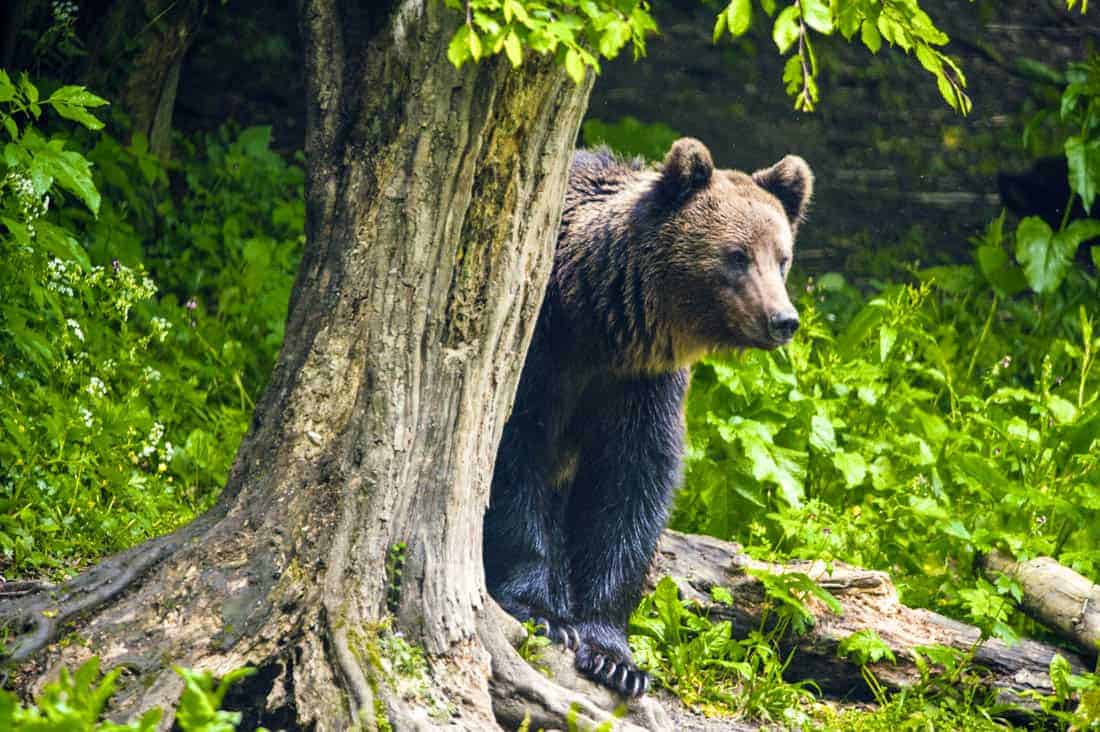 Maire Kerner tweet media