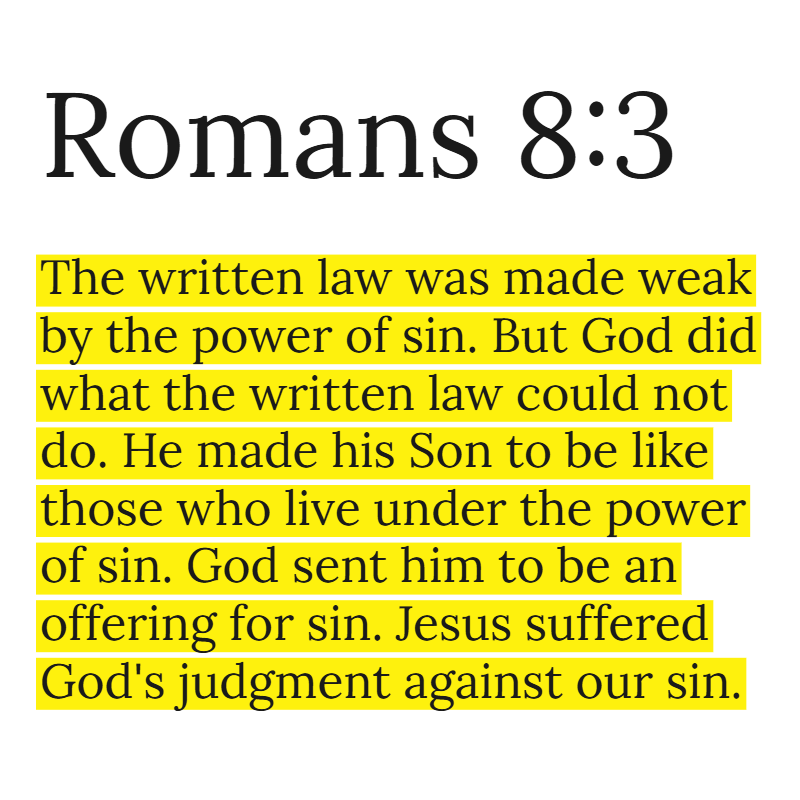 Holy Bible tweet media