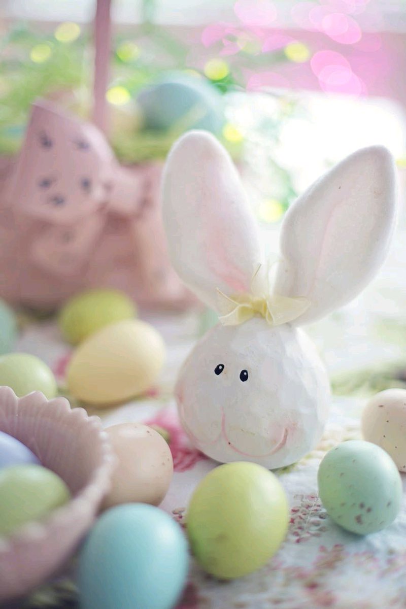 KellyReportBlog's tweet image. Trying to keep Easter simple this year 🐣
No pressure, no perfection… just making memories: 

thekellydianereport.co.uk/2026/03/17/eas…

#EasterIdeas #FamilyLife #MumLife #SimpleLiving #Parenting