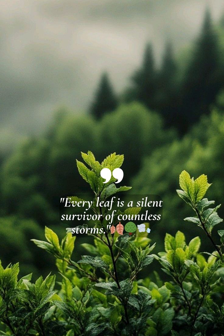 POSITIVITY tweet media