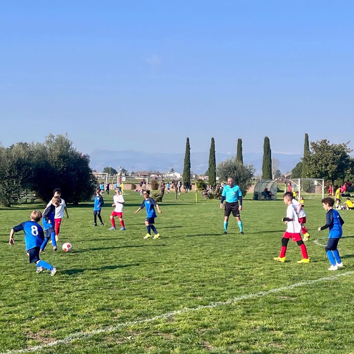 International School of Monaco tweet media