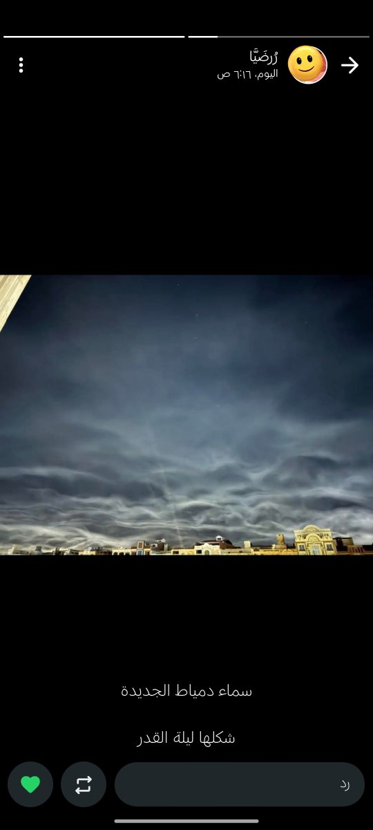 وَفَـاء (فَتاةٌ تَسْعَى) tweet media