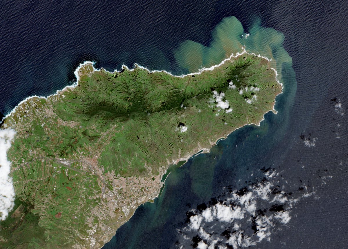 ObservadorCanario tweet media