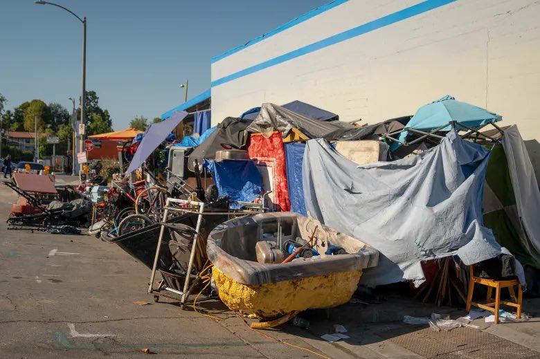 Noah BR Journo tweet media