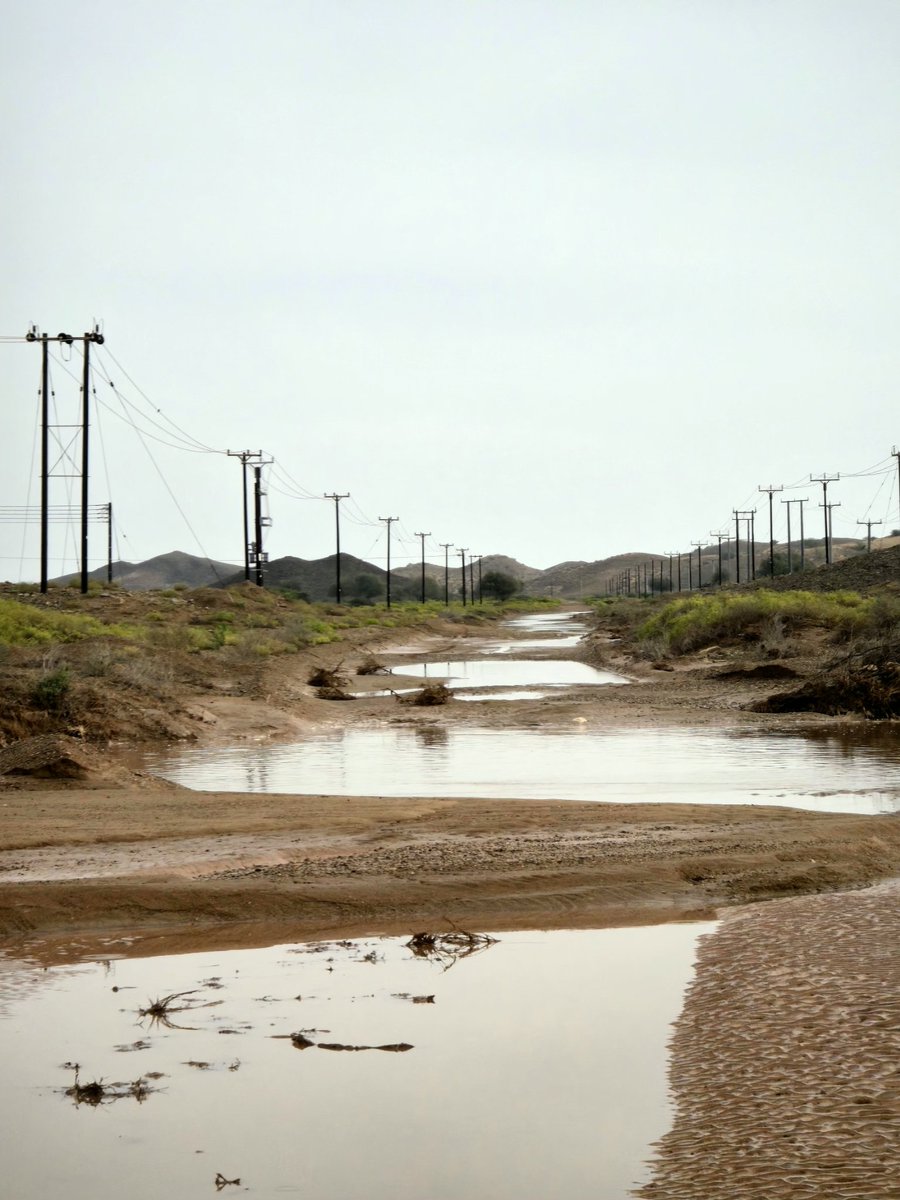 𝑺𝒂𝒍𝒆𝒎 𝑨𝒍_𝑺𝒖𝒏𝒂𝒊𝒅𝒆 tweet media