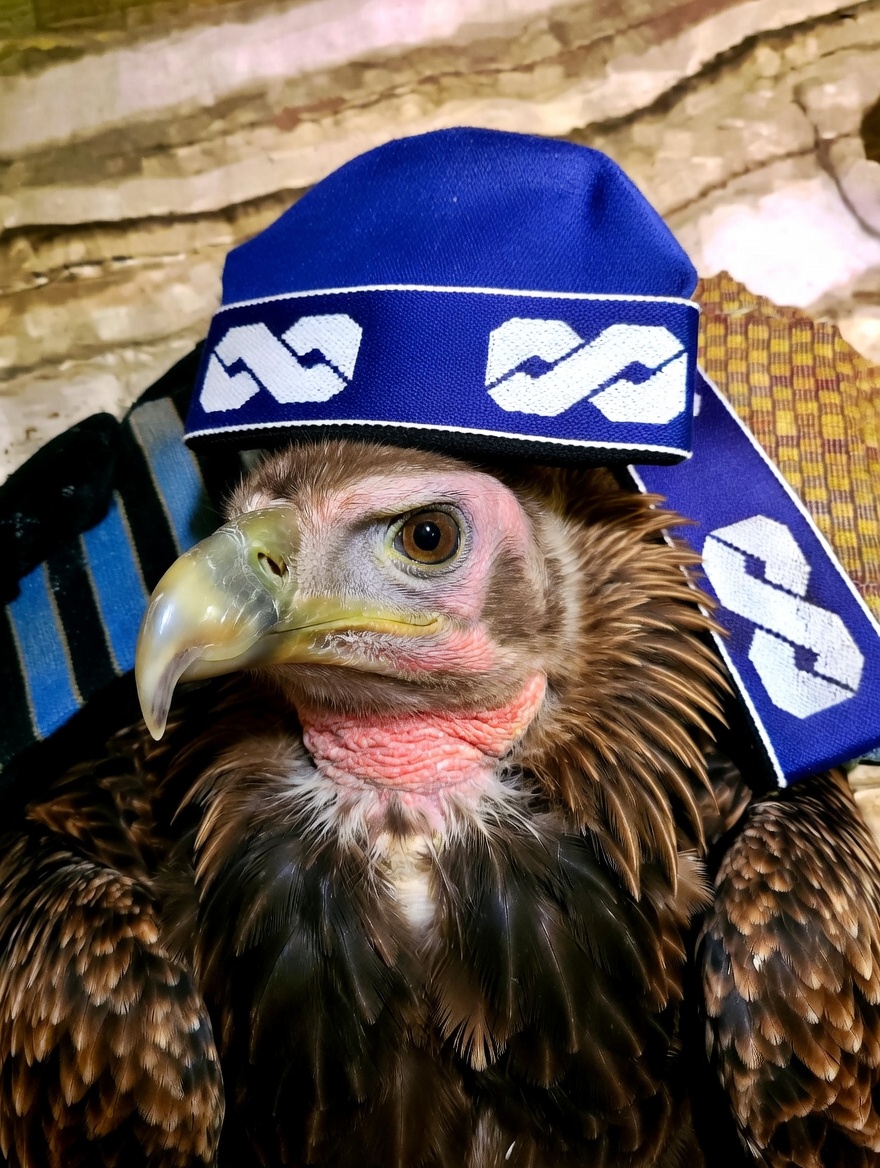 ŇËŴ ŤÁĶÊŘ tweet media