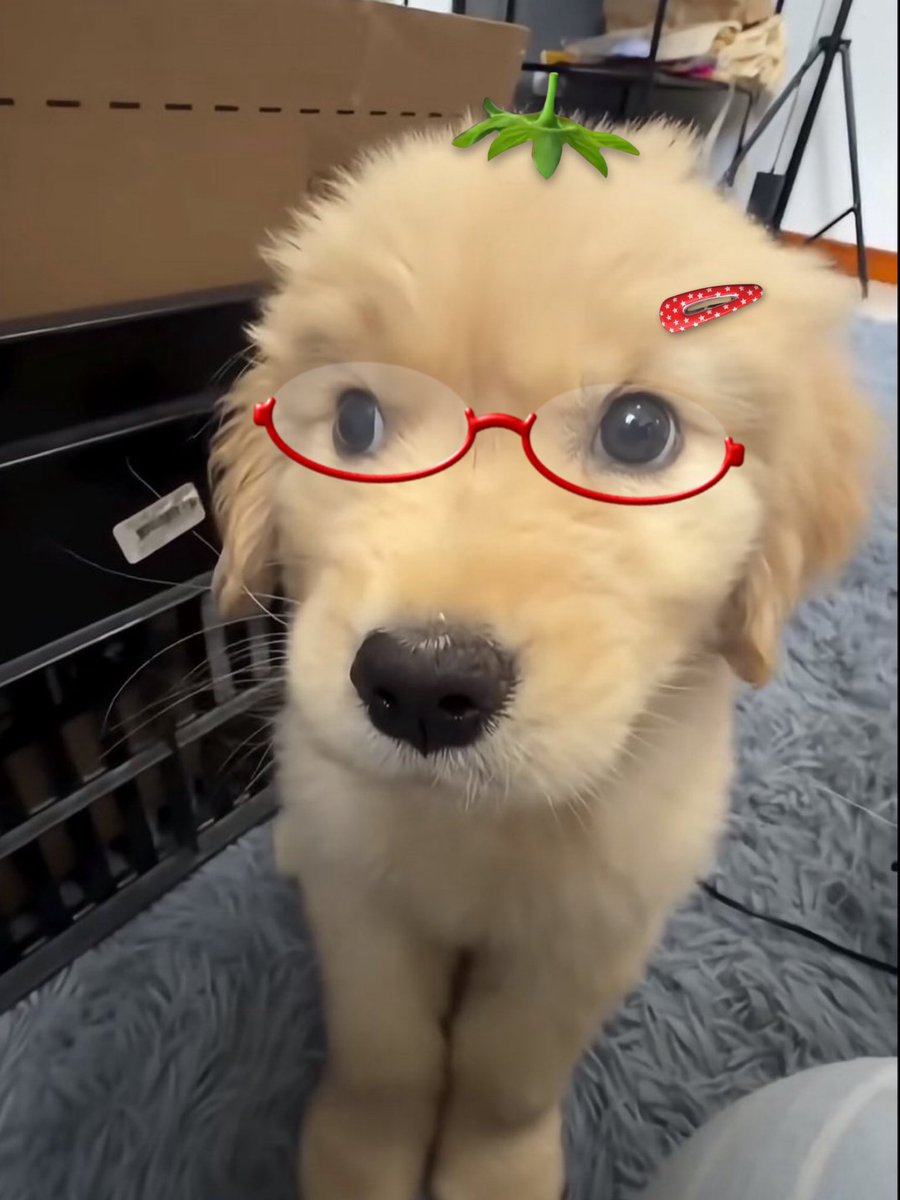 ʚ🧸ྀིɞ (행챙‎)⋆͛ tweet media