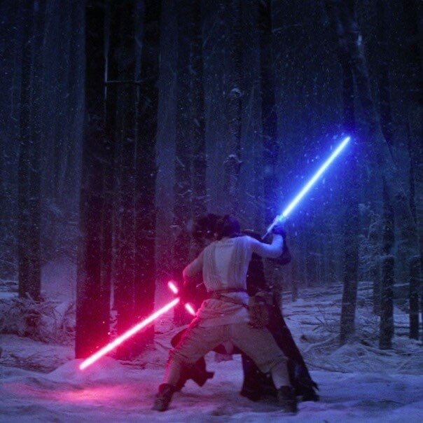 Sunny☀️🦋 tweet media