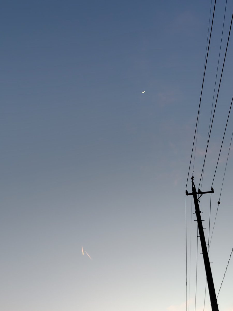 【ℕ𝕆𝔸】糸井めろ@イラスト依頼募集中 tweet media