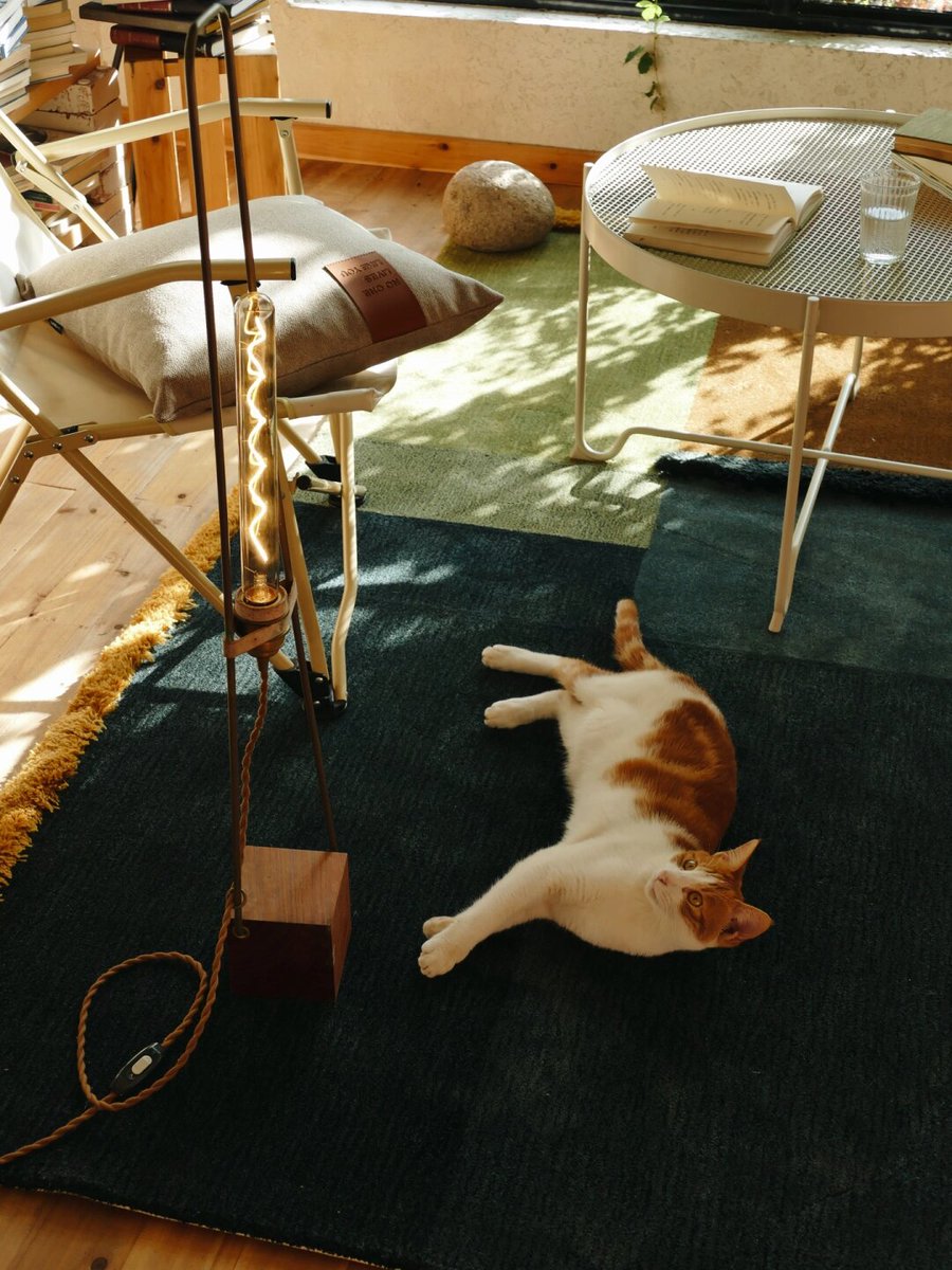 Andreas Ambrosi tweet media