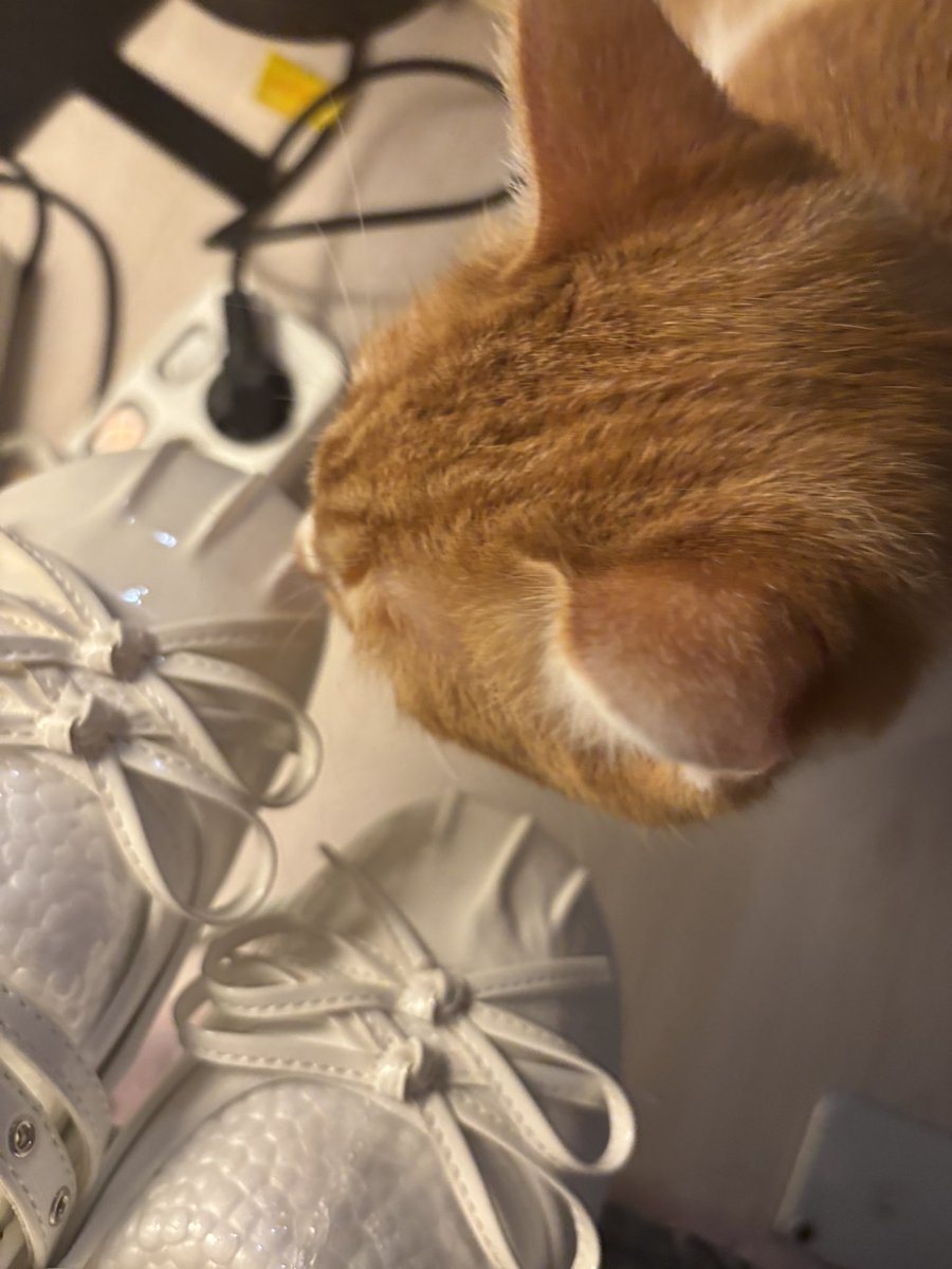 나뱡이 tweet media