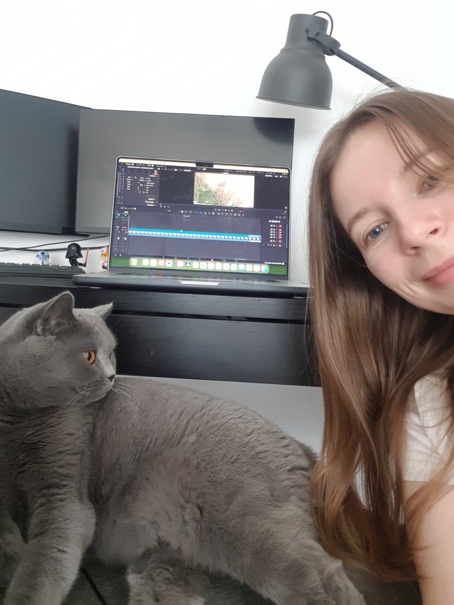 Alex Oakley Edits tweet media