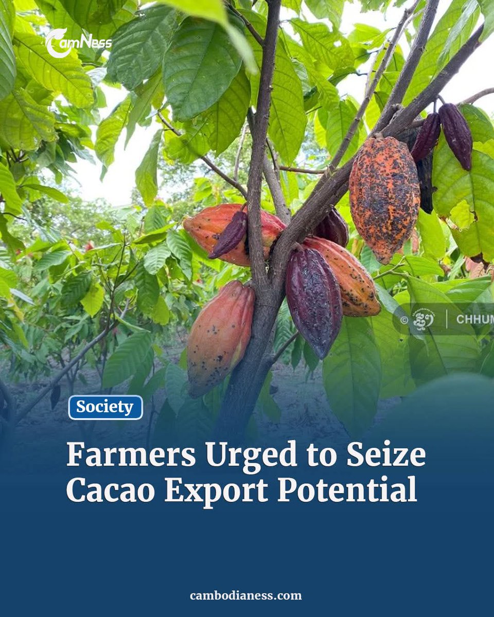 Cambodianess tweet media