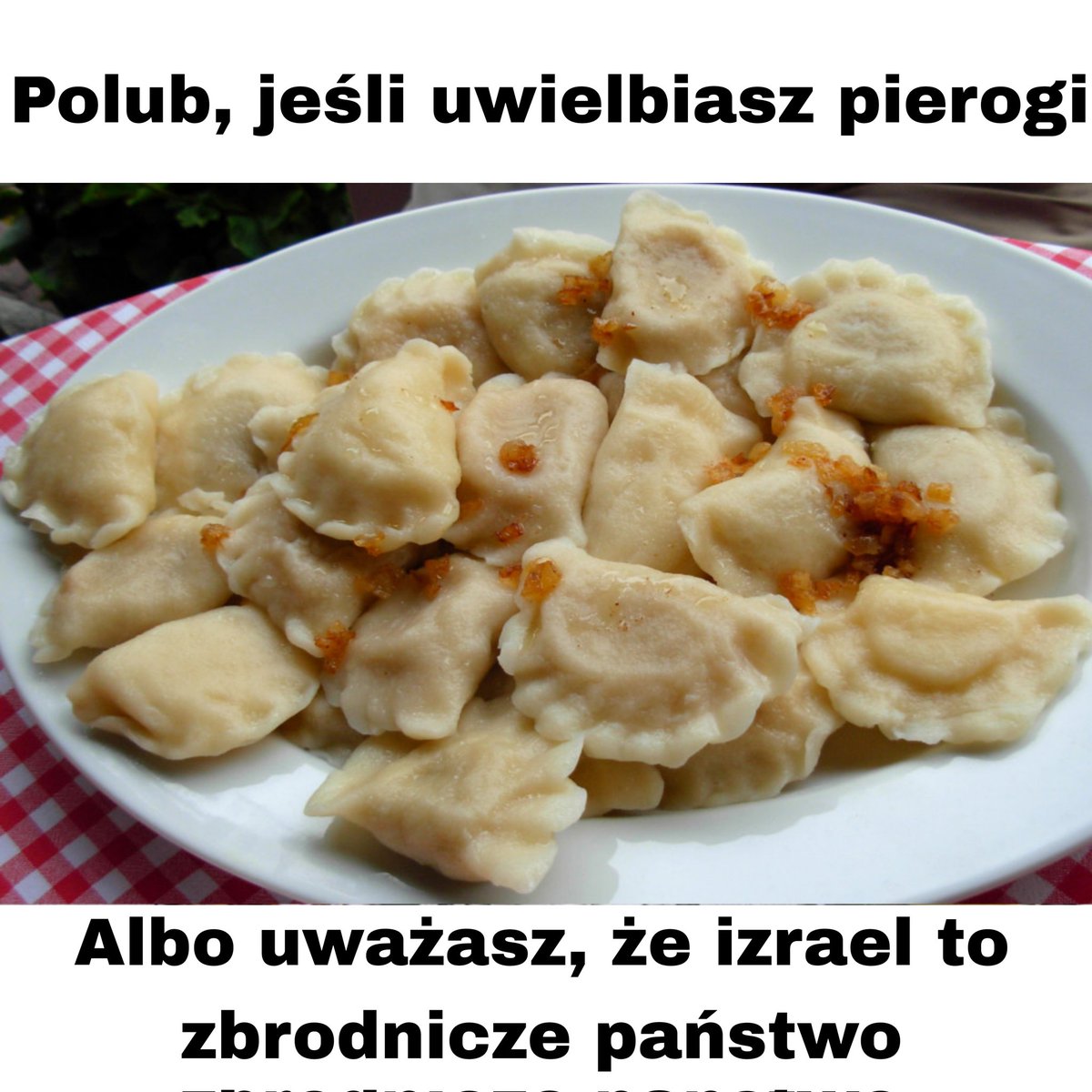 𝙼𝙸𝚂𝙸𝙰𝙲𝚉𝙴𝙺 tweet media