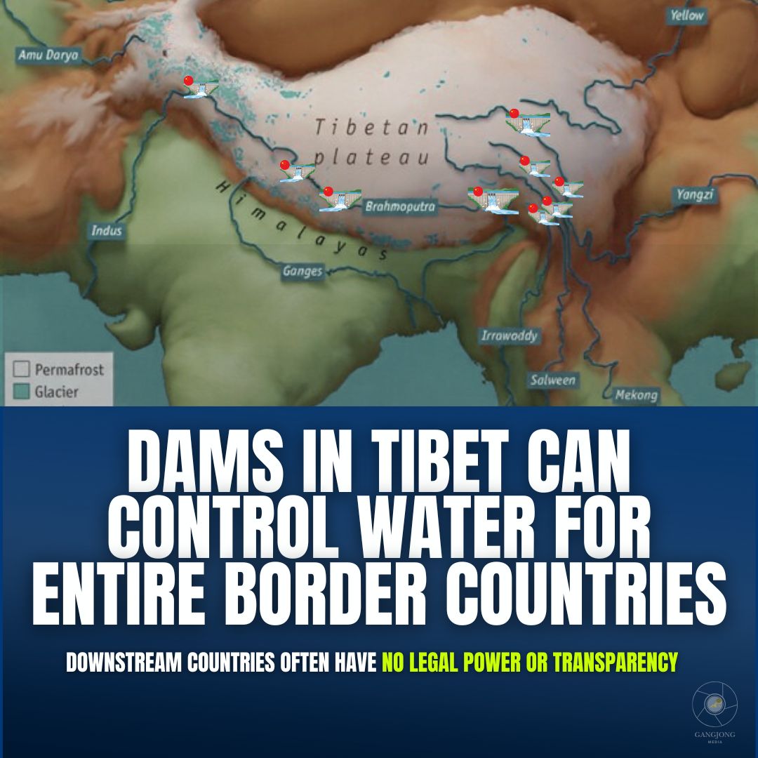 Lhamu dupling tweet media