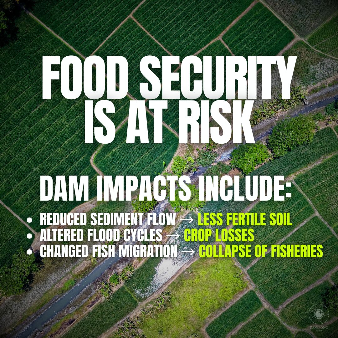 Lhamu dupling tweet media