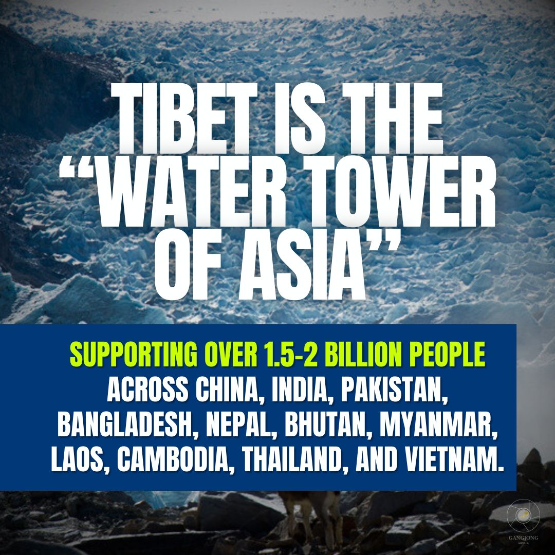 Lhamu dupling tweet media