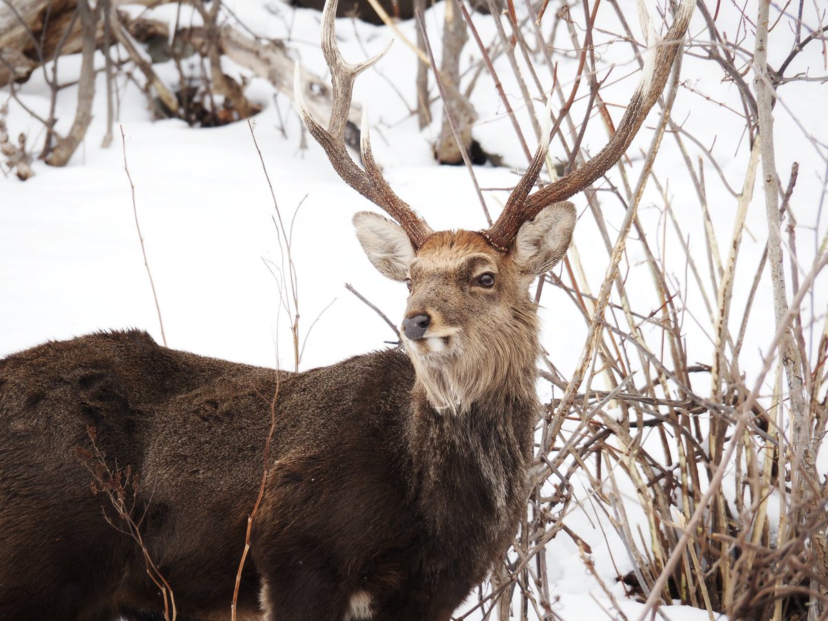 片田陽依 tweet media