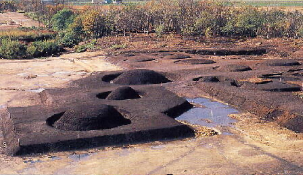 DokkoStorm tweet media