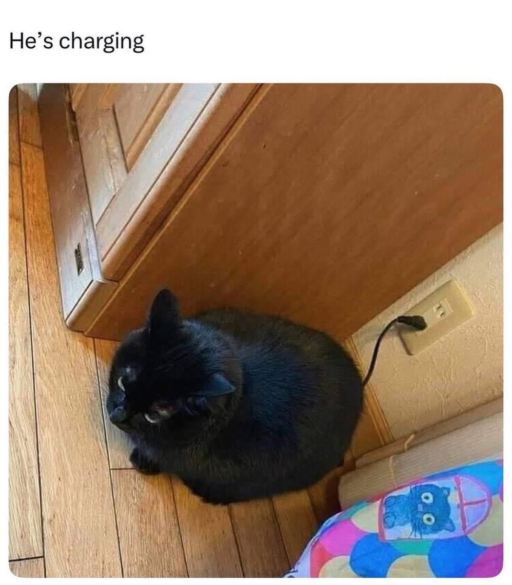 i drink soup tweet media