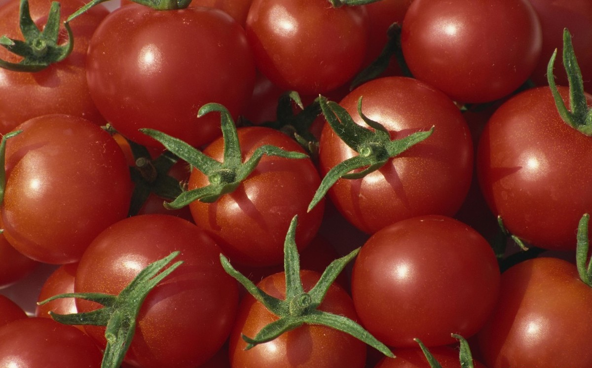 mignon chantal tweet media