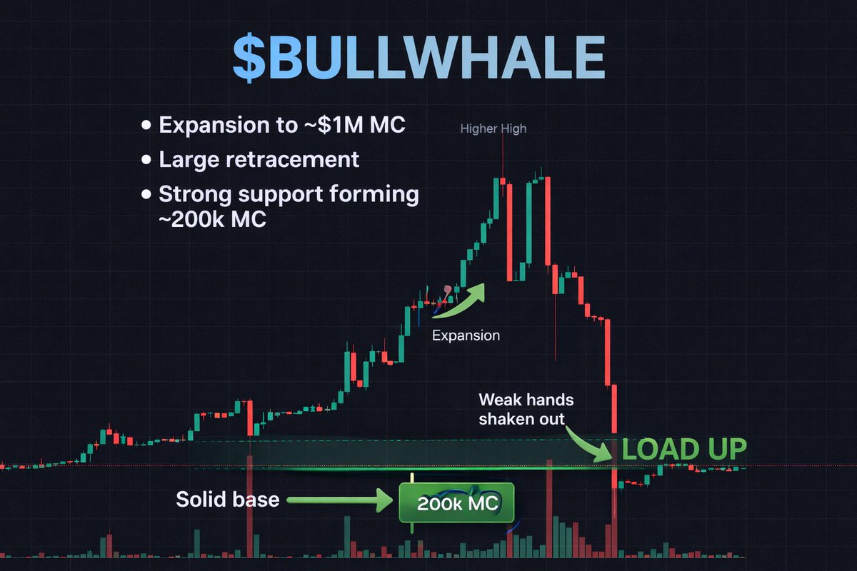 BullWhale tweet media