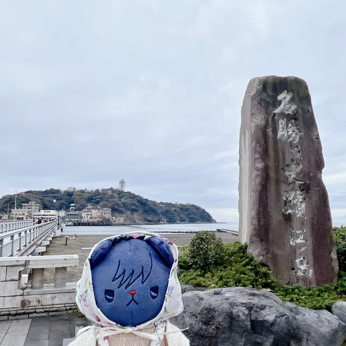 みと🐺 tweet media