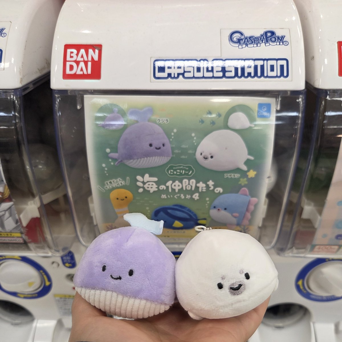 出るまでぶん回した🐳🦭