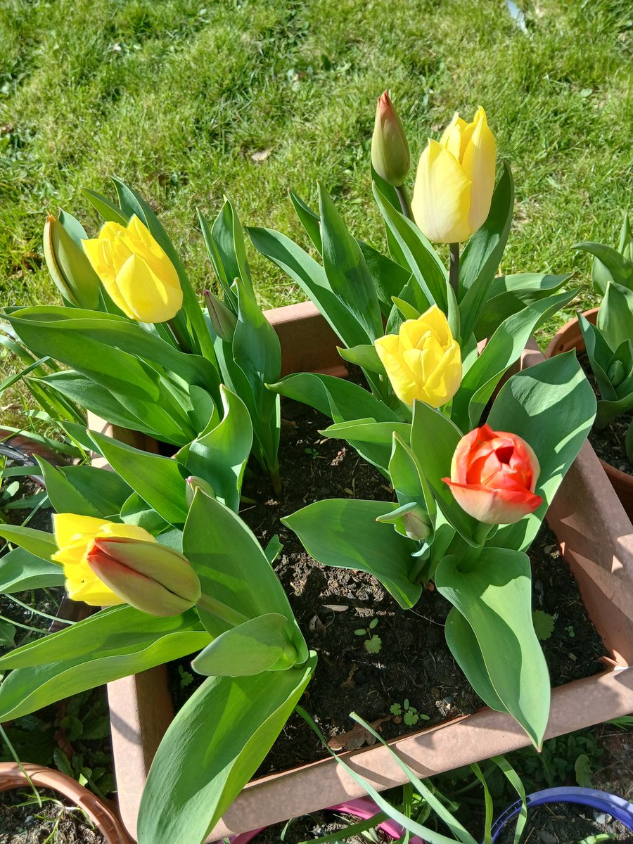 andrew barnard tweet media