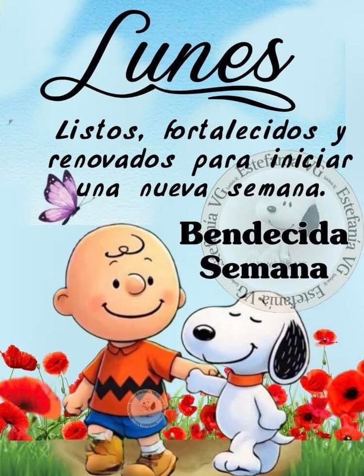 Aᥣᥱx Cᥲstro Cᥲbrᥱrᥲ tweet media