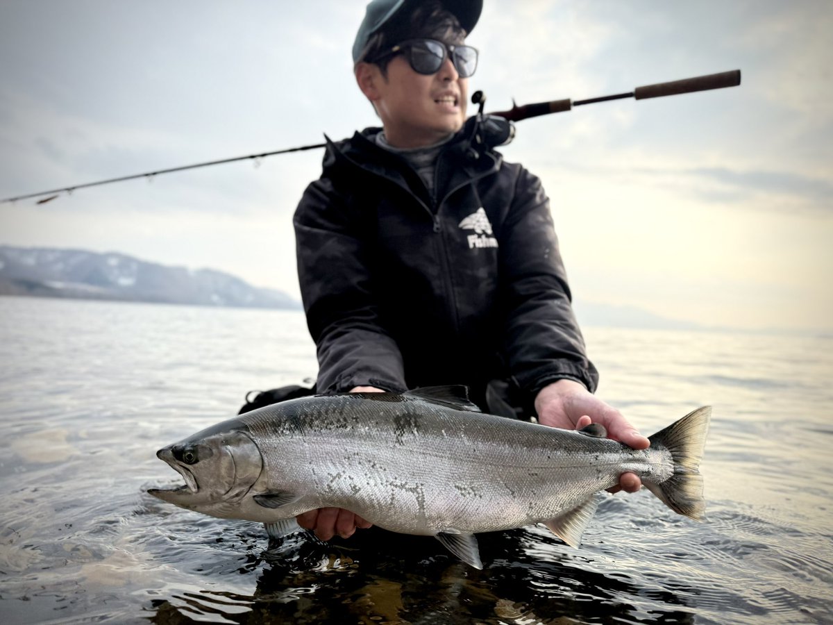 oga_0624_'s tweet image. 右膝を負傷中だけど釣りしたくて
昼過ぎから洞爺湖へ向かいなんとか
サクラマスをキャッチ！！！
解禁から何度か挑戦してたけどバラしたり何も無いっていうのが当たり前だからめちゃくちゃ嬉しい1匹！

#fishman
#LOWER86L
#アトミックスライダー
#ナイロンショックリーダーLR20lb