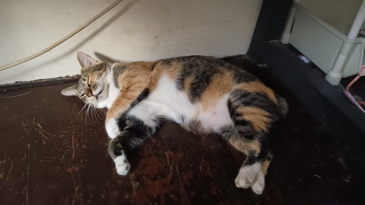 Madoryn 🌙 tweet media