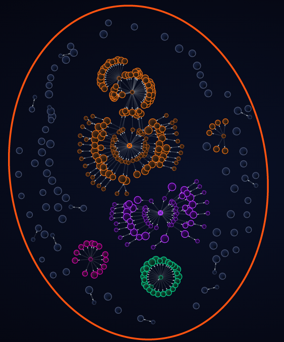 David Crypto Scam Hunter tweet media